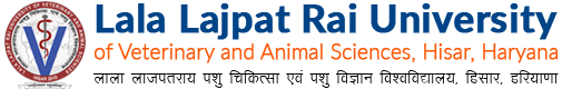 University Logo